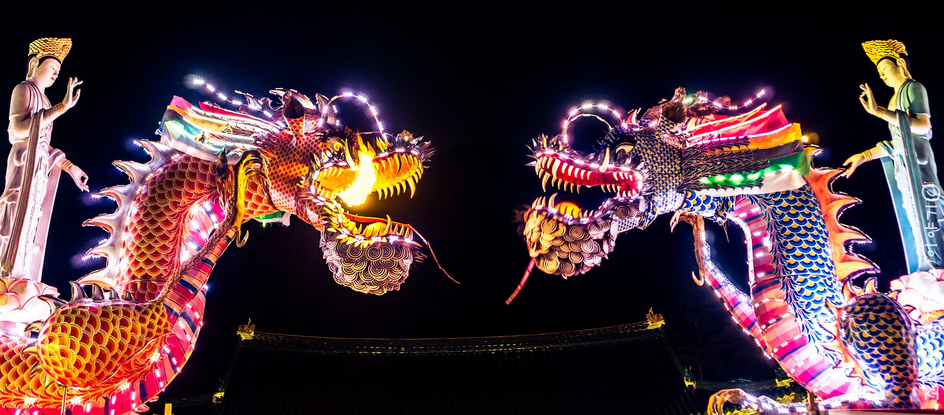 dragons-932330_1920
